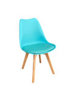 whatsapp image 2024 09 24 at 5.00.12 pm